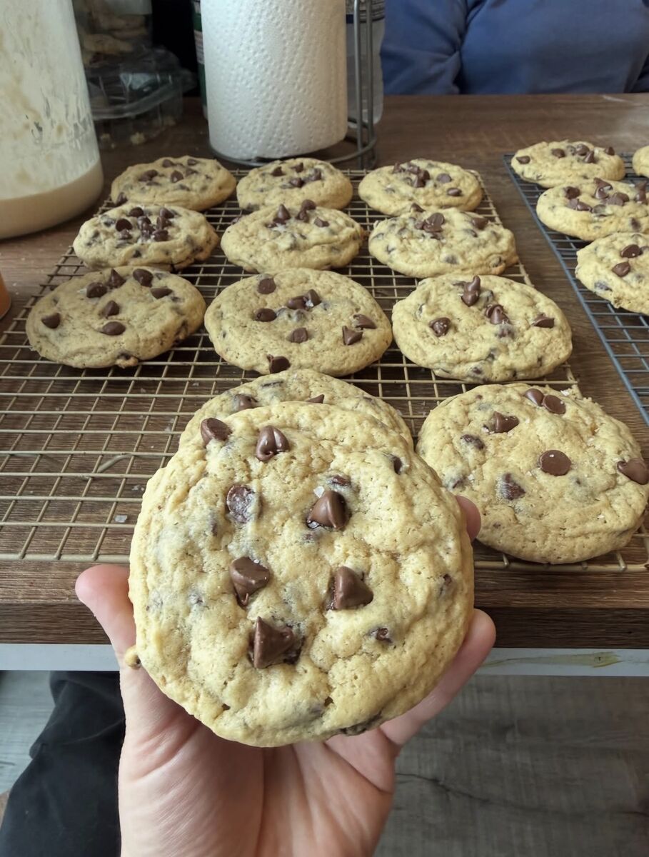 Chocolate Chip Cookies, close up
