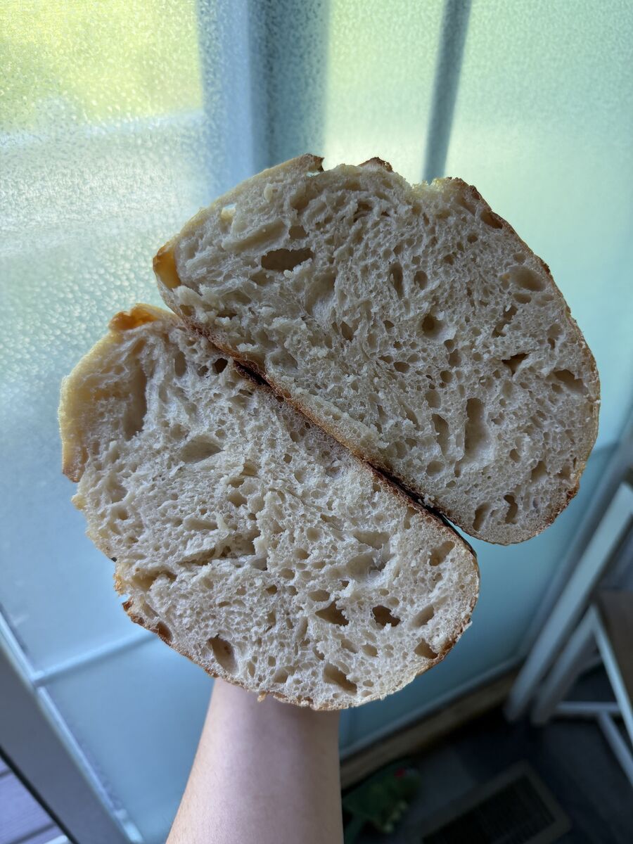 Classic Sourdough, crumb shot